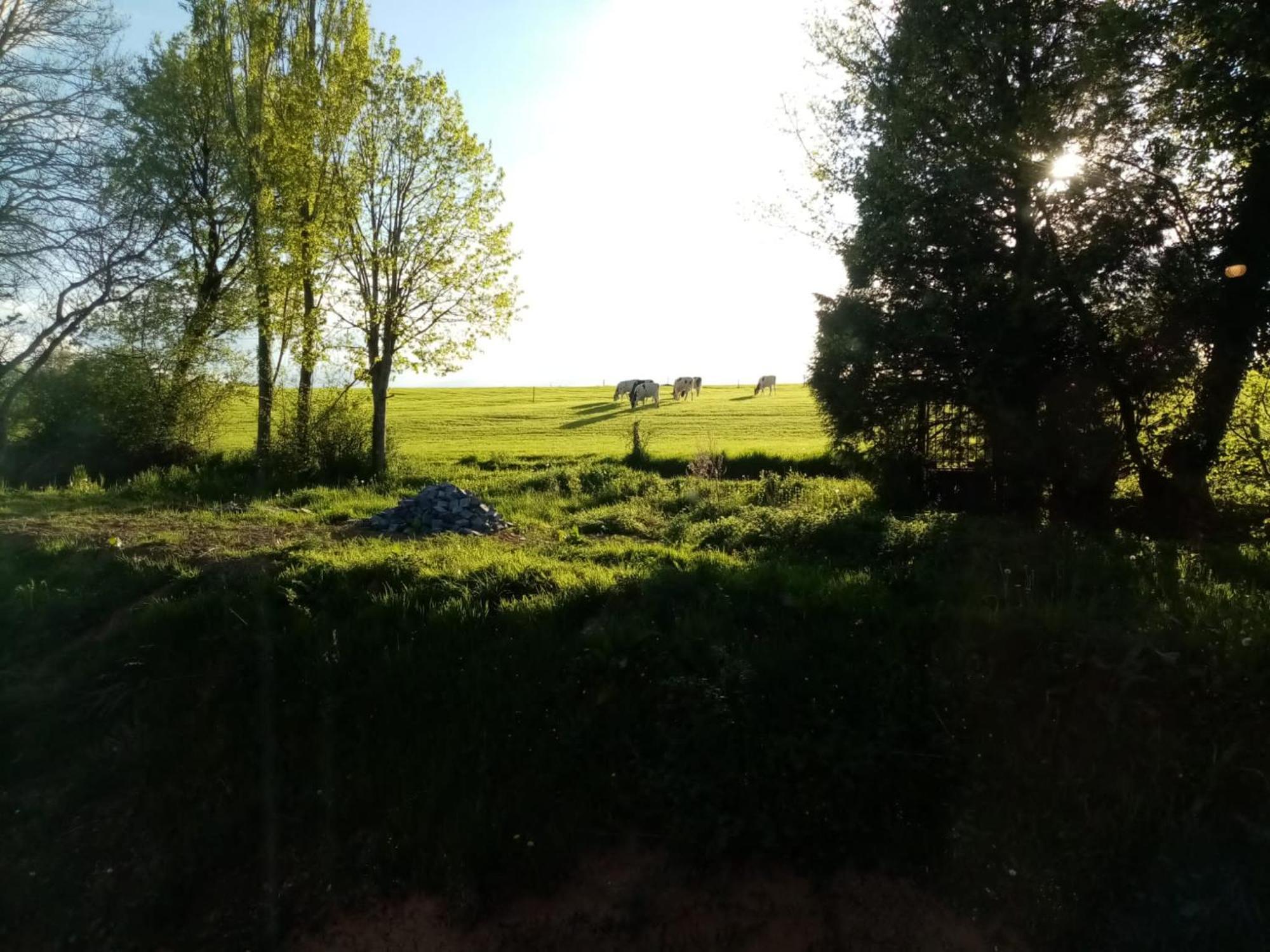 Feel At Home In Warre, Durbuy Exteriör bild