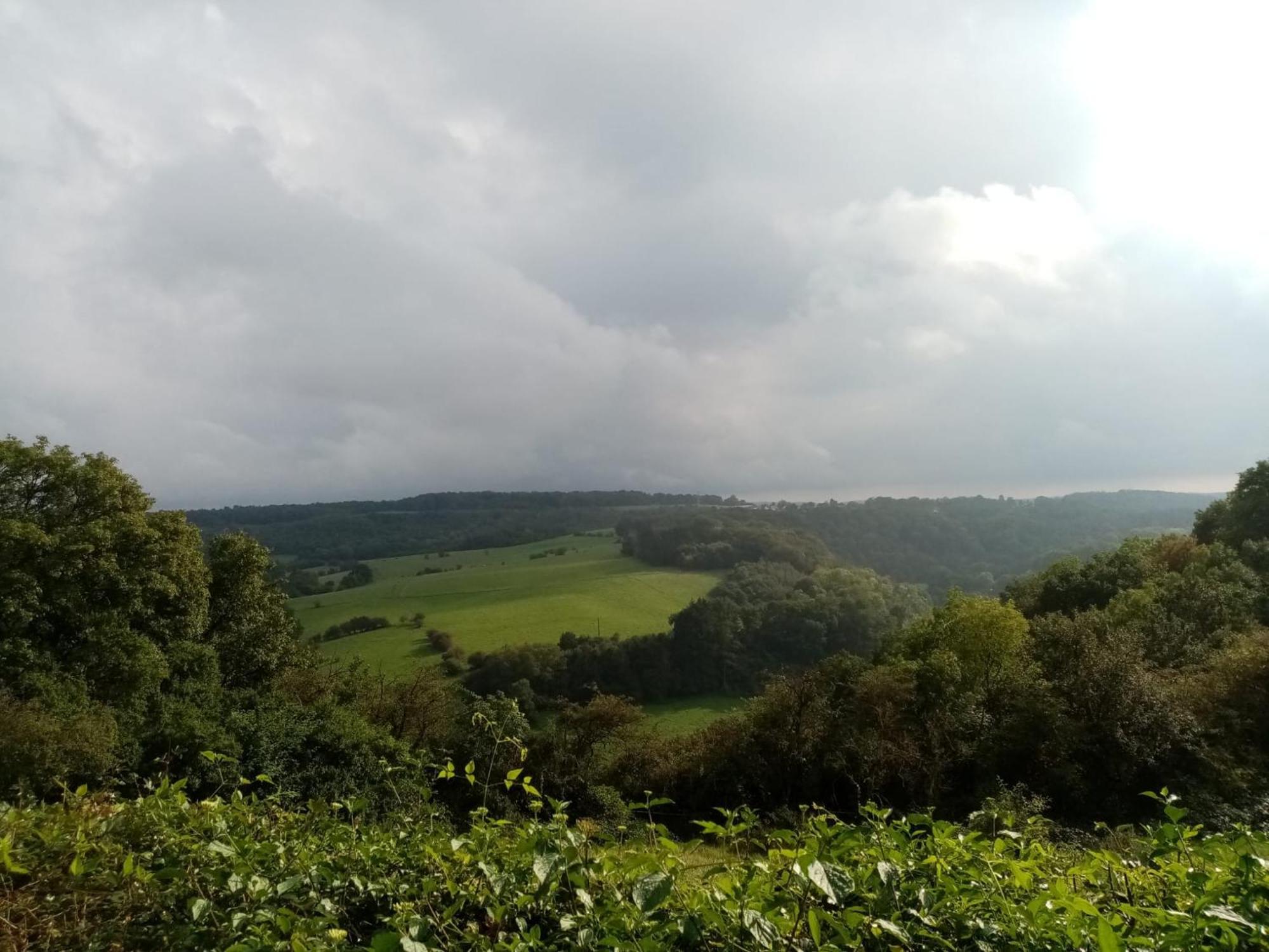 Feel At Home In Warre, Durbuy Exteriör bild